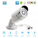 HD 1080P Mini Camera 2MP Security Camera Outdoor POE IP Camera