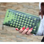 Womens Wallet The Gradient Of Japan And South Korea Purse Wallet (Green)